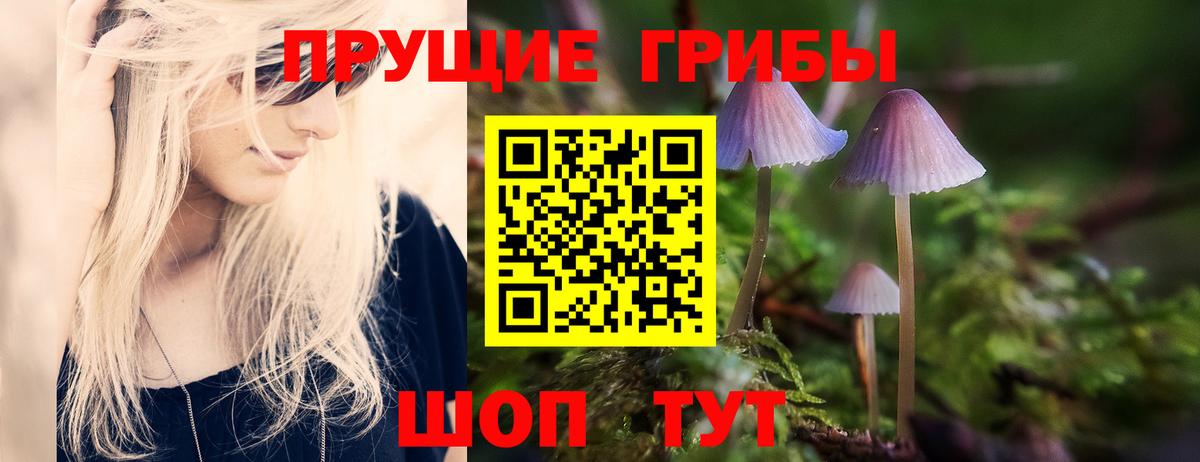 Псилоцибиновые грибы Psilocybe  Гагарин 