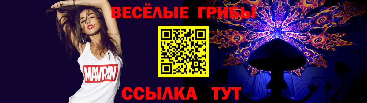 Псилоцибиновые грибы Psilocybine cubensis  Псилоцибиновые грибы GOLDEN TEACHER  Гагарин  Вход с VPN 