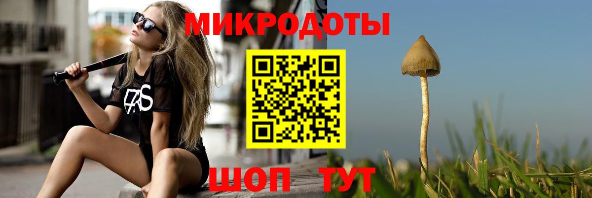 Псилоцибиновые грибы мухоморы Гагарин