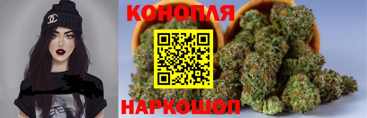 МАРИХУАНА сатива  МАРИХУАНА сатива  Шишки марихуана планчик  Гагарин 